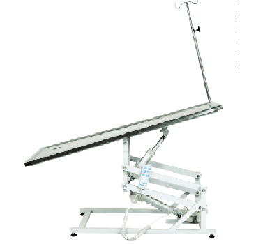 Veteriner Grubu Nedir?